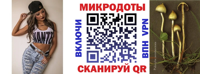 MEGA ONION  купить  цена  Плавск  Галлюциногенные грибы ЛСД 